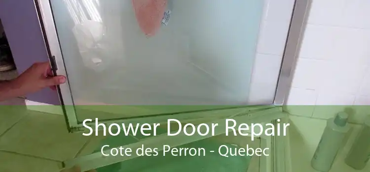 Shower Door Repair Cote des Perron - Quebec