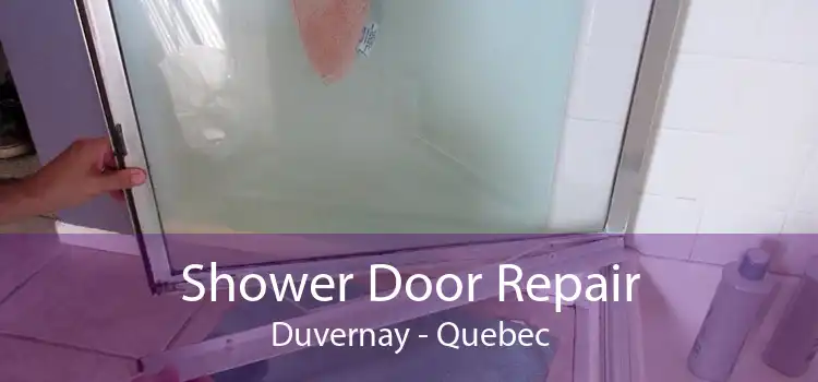 Shower Door Repair Duvernay - Quebec