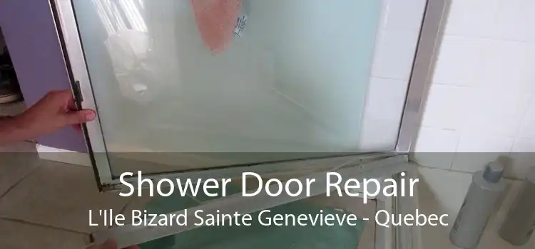 Shower Door Repair L'Ile Bizard Sainte Genevieve - Quebec