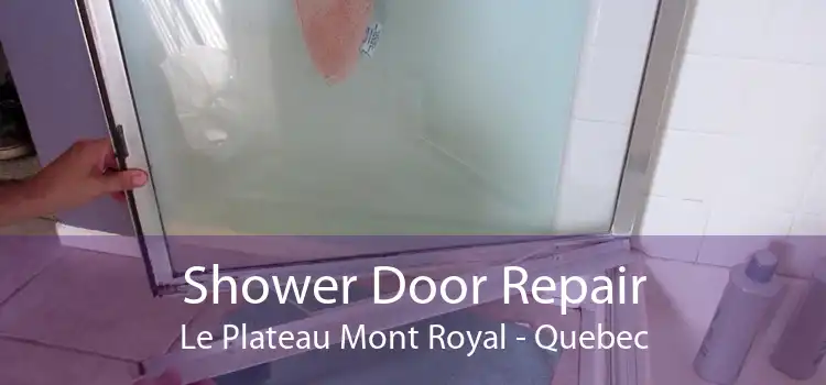 Shower Door Repair Le Plateau Mont Royal - Quebec