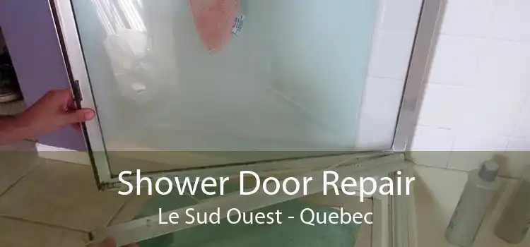 Shower Door Repair Le Sud Ouest - Quebec