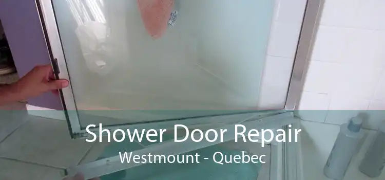 Shower Door Repair Westmount - Quebec