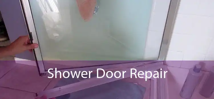 Shower Door Repair 