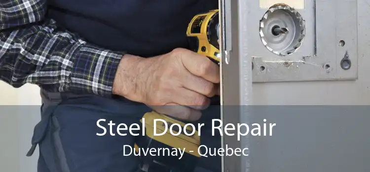 Steel Door Repair Duvernay - Quebec