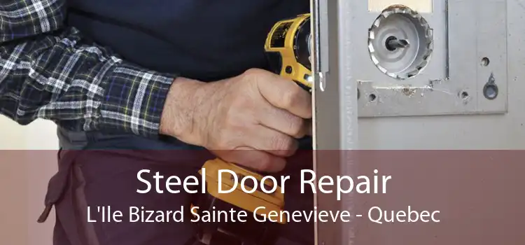 Steel Door Repair L'Ile Bizard Sainte Genevieve - Quebec