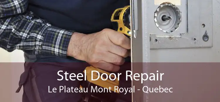 Steel Door Repair Le Plateau Mont Royal - Quebec