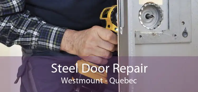 Steel Door Repair Westmount - Quebec