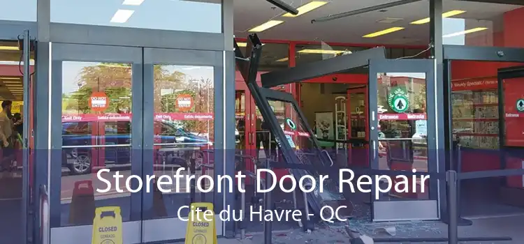 Storefront Door Repair Cite du Havre - QC