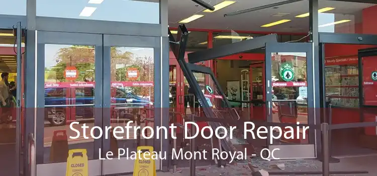 Storefront Door Repair Le Plateau Mont Royal - QC