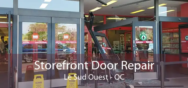 Storefront Door Repair Le Sud Ouest - QC