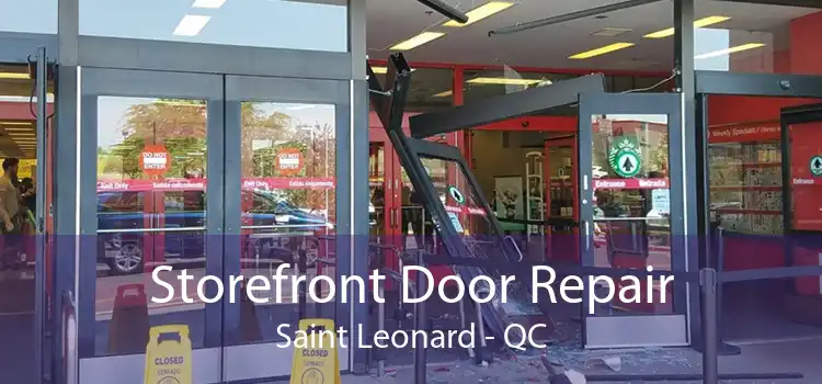 Storefront Door Repair Saint Leonard - QC