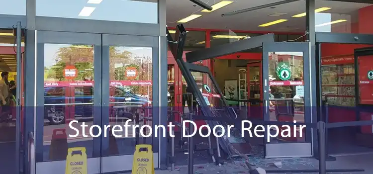 Storefront Door Repair  - 