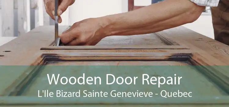 Wooden Door Repair L'Ile Bizard Sainte Genevieve - Quebec