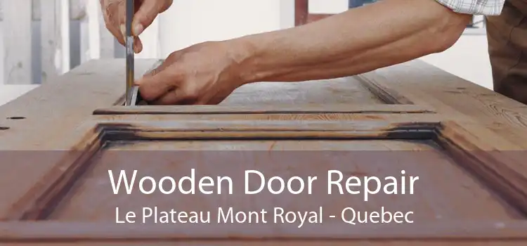 Wooden Door Repair Le Plateau Mont Royal - Quebec